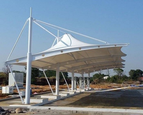 张拉青青草官网下载